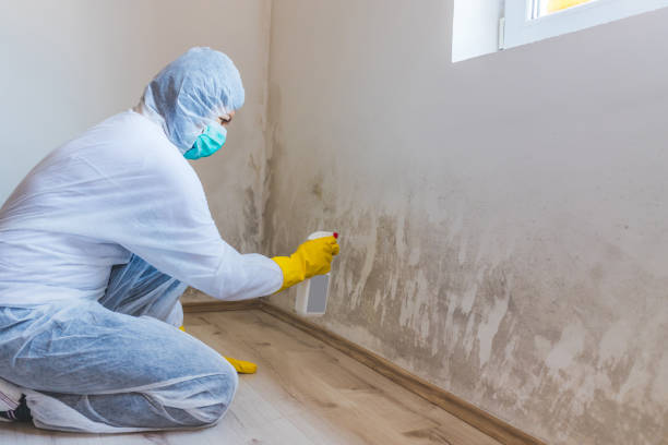 Mold Remediation specialist working in Chadds Ford