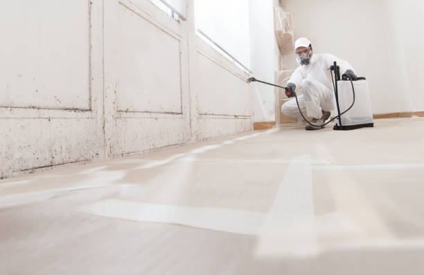 Black mold remediation team in Chadds Ford